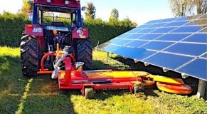 Solar-Farm-Mowers-2.jpg