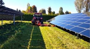 Solar-Farm-Mowers-3.jpg